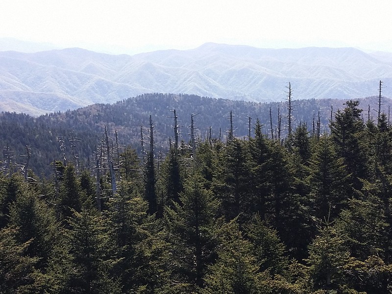 Layered Ridges
