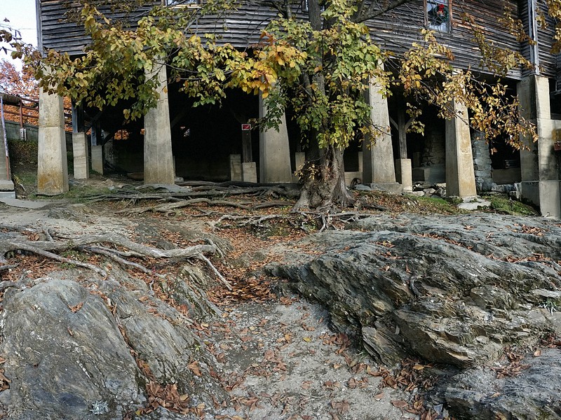 Riverbank at the Old Mill