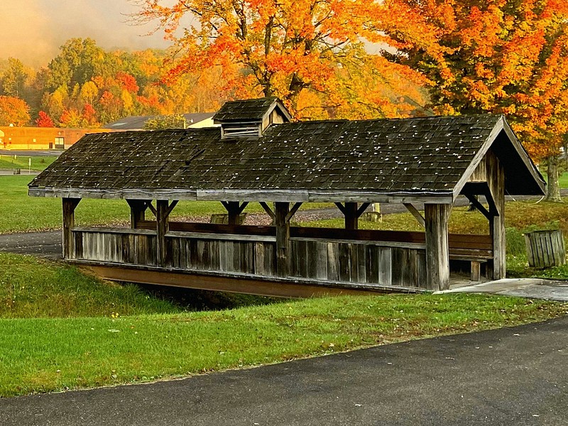 Bridge of Friendship