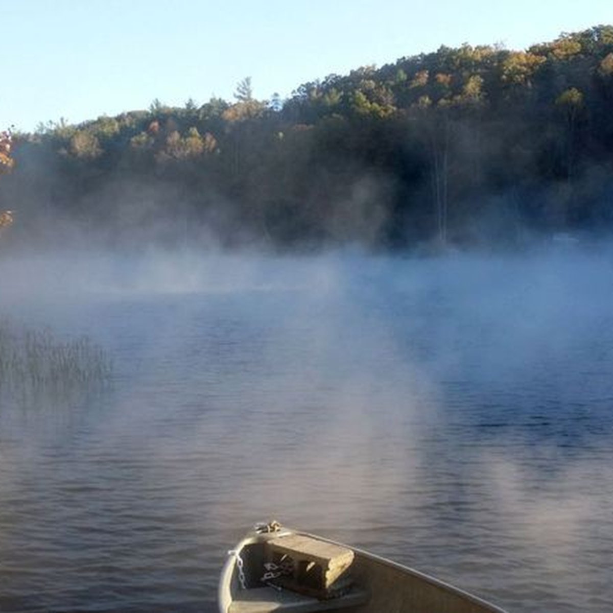 Cove Lake