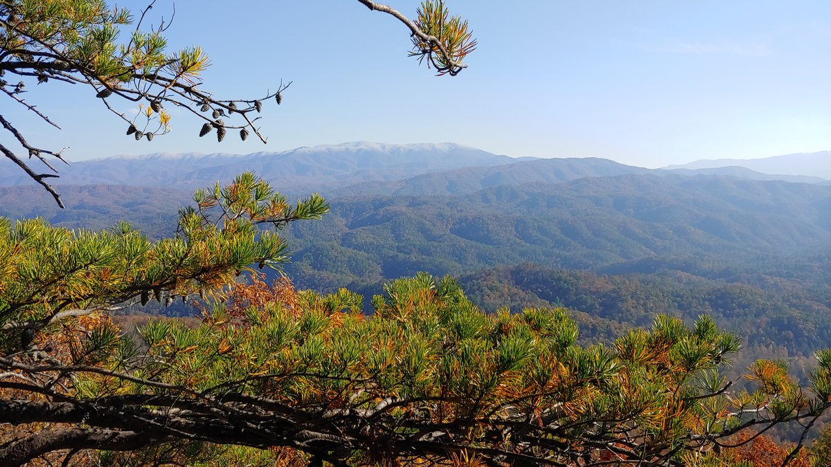 Frost on pines framing the Smokies from the Foothills Parkway area