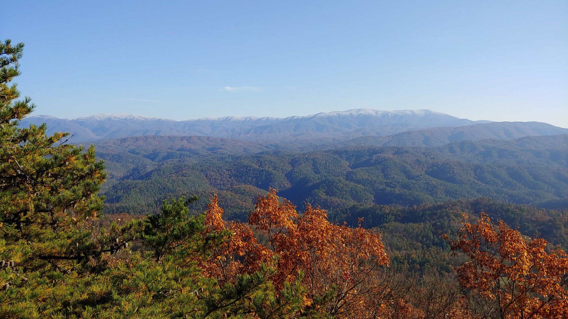 First snow and autumn oaks at Look Rock on Chilhowee Mountain, Blount County — Montvale Springs hotel guests once hiked up here for the view