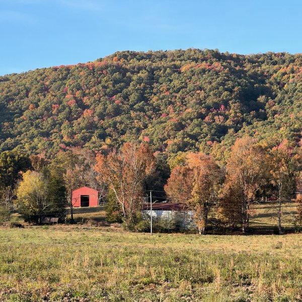 Coalfield Fall Ridge — no title — Coalfield poster