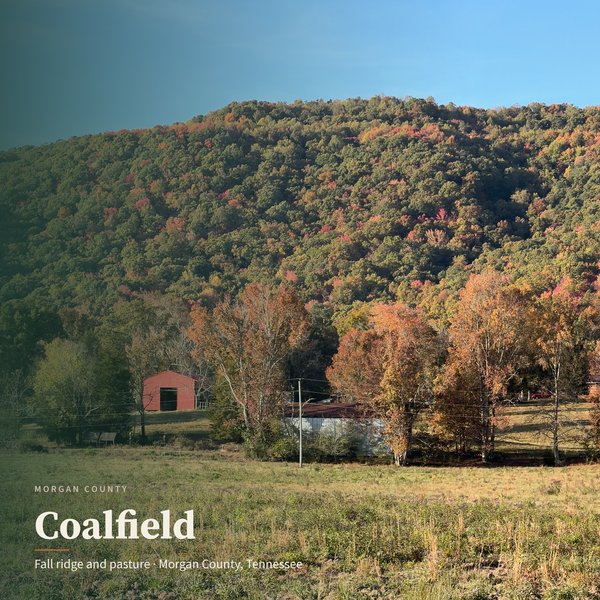 Coalfield Fall Ridge — Coalfield poster