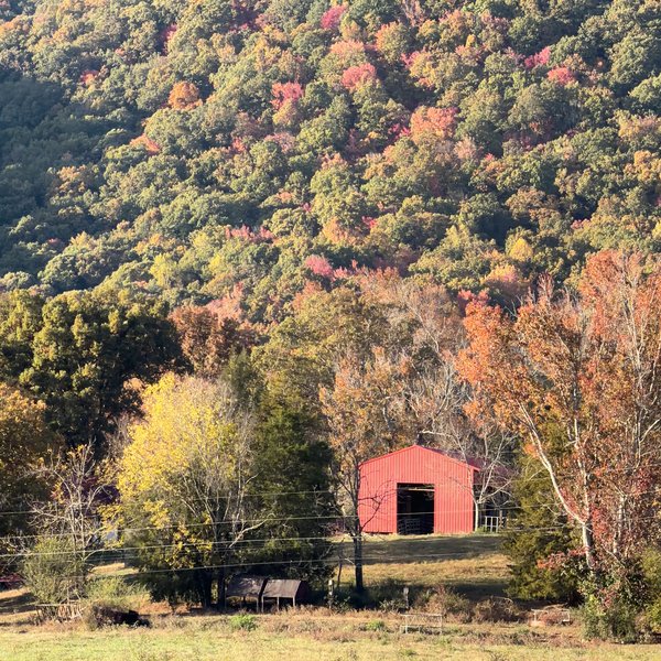 Coalfield Red Barn — no title — Coalfield poster