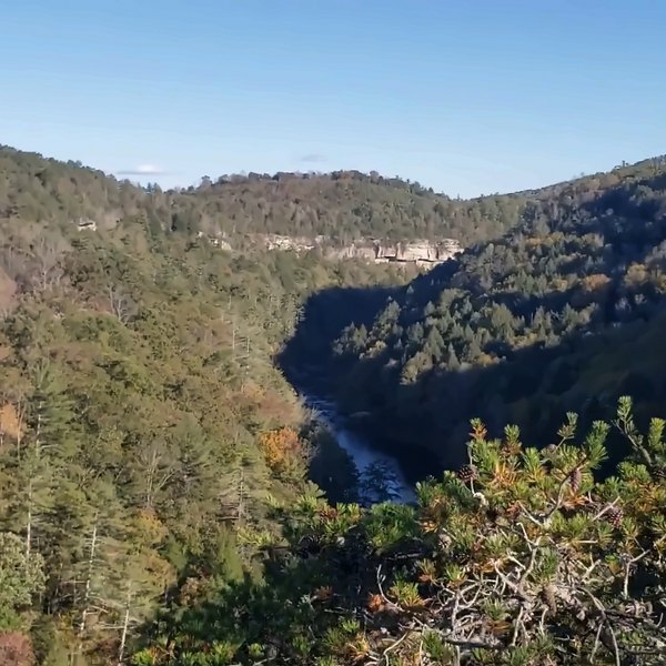 Lilly Bluff, Wartburg, Tennessee