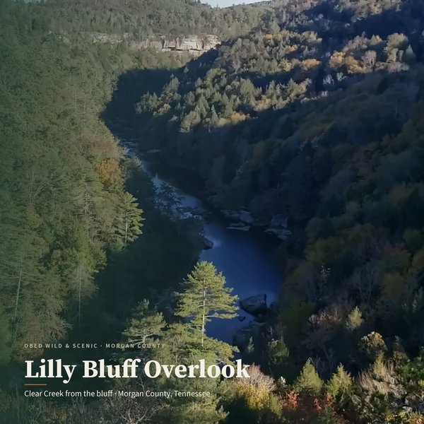 Lilly Bluff Overlook, Wartburg, Tennessee