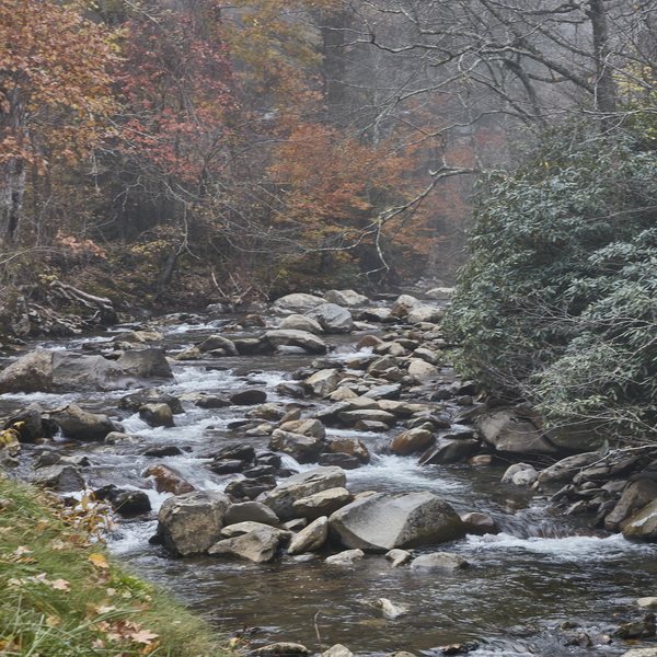 Little River — no title — Smokies poster