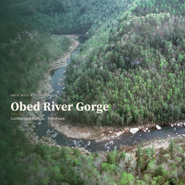 Obed River Gorge — Cumberland Plateau poster