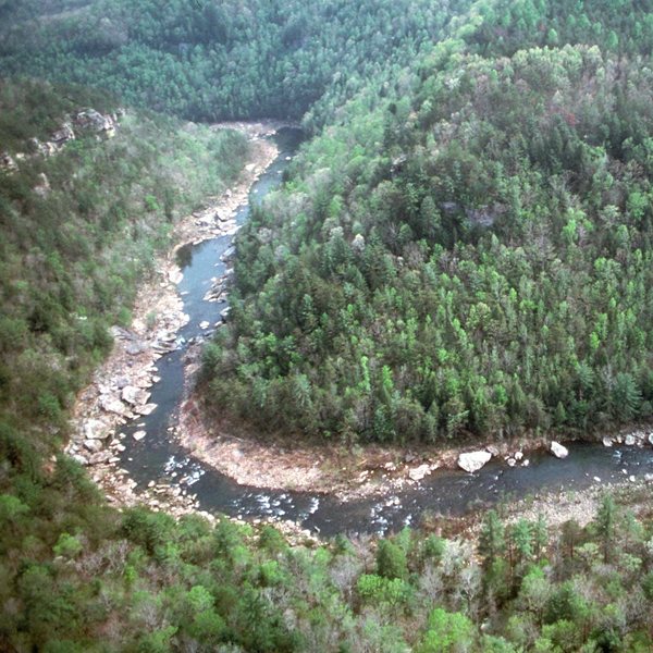 Obed River Gorge — no title — Cumberland Plateau poster