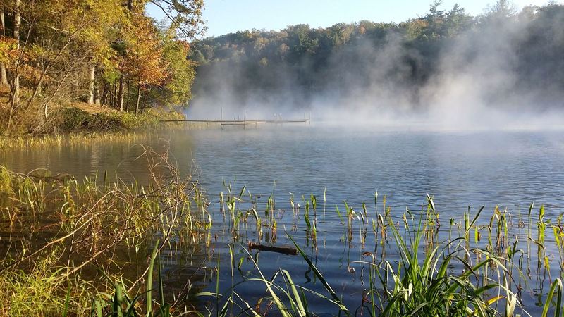 Misty lake, autumn morning