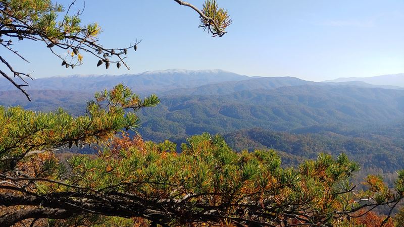 Pine Frame, First Frost on the Smokies